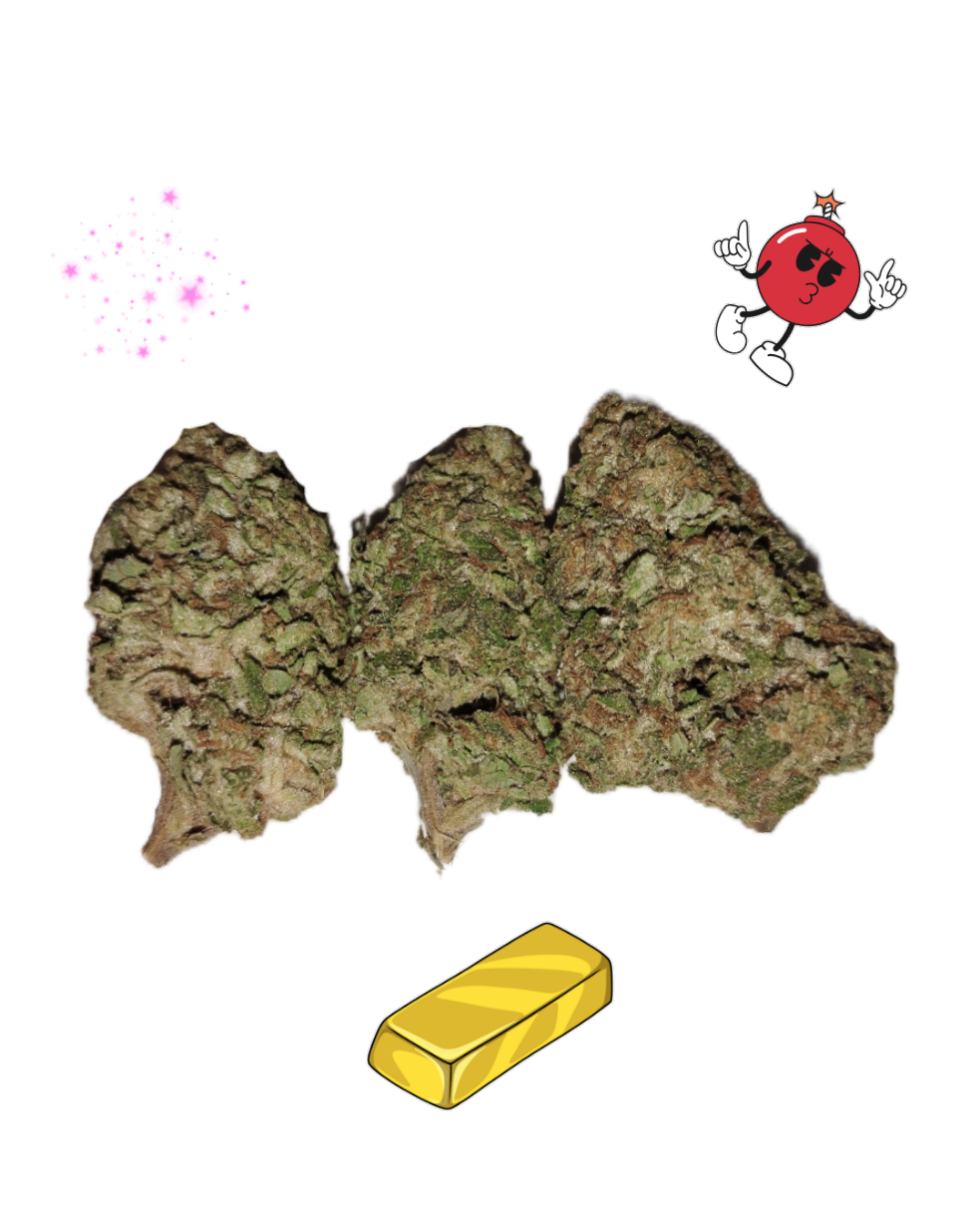 Glitter Bomb- Gold Tier- THCa - Indica / 3.5g